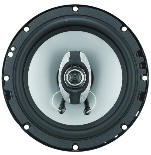 GS 6.5in 2 Way 250 Watt Speaker