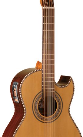 Bajo Sexto electric Fishmen EQ w/ bag