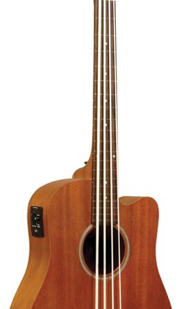 Gold Tone Fretless Micro Bss With Bag