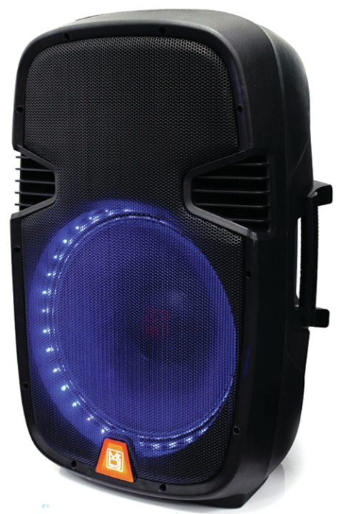 MR DJ Passive 12 Cabinet LED Accent