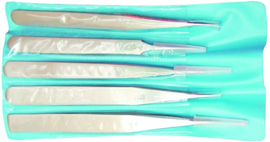 5 Pc Jeweler Stainless Steel Tweezer Set