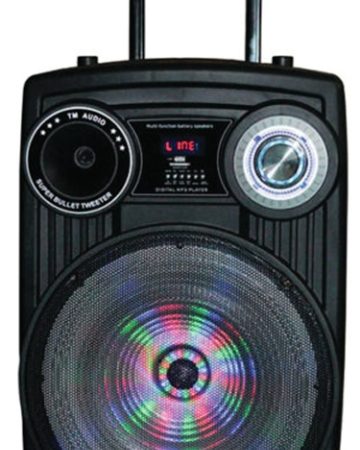 Max Power DJ Speaker System