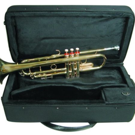 B Flat Brass Trumpet WCase