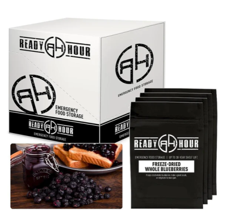 Ready Hour Freeze-Dried Blueberries Case Pack (32 servings, 4 pk)
