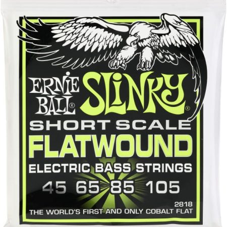 Ernie Ball 2818 Regular Slinky Flatwound Electric Bass Guitar Strings