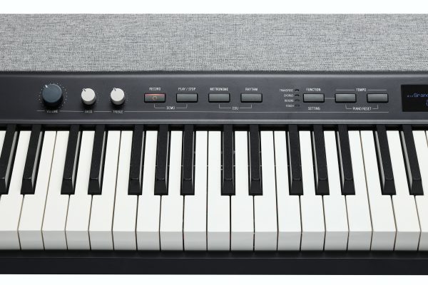 Kurzweil Ka P1 88-Key Weighted Hammer Action Digital Piano with 28 flagship Voices + Power Supply + Sustain Pedal - Image 3