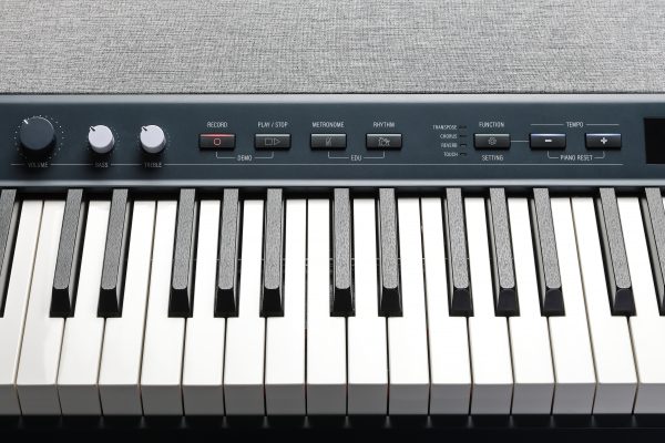 Kurzweil Ka P1 88-Key Weighted Hammer Action Digital Piano with 28 flagship Voices + Power Supply + Sustain Pedal - Image 3