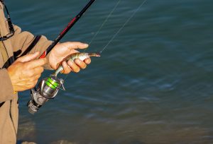 wholesale-right-now-dropshipping-fishing-products-equipment.